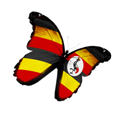 butterfly_uganda_250px